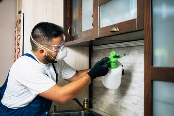 Best Pest Control Near Me in Rapid City, MI