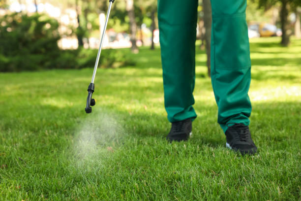 Best Pest Prevention Services  in Rapid City, MI