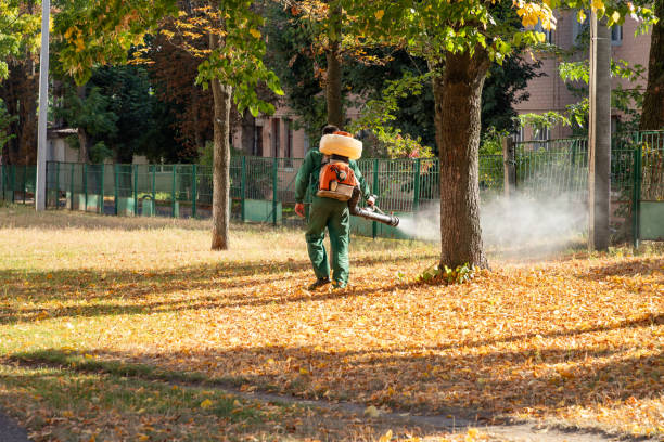 Best Wasp Removal Services  in Rapid City, MI