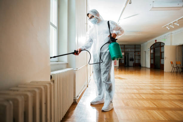 Best Local Pest Control Services  in Rapid City, MI