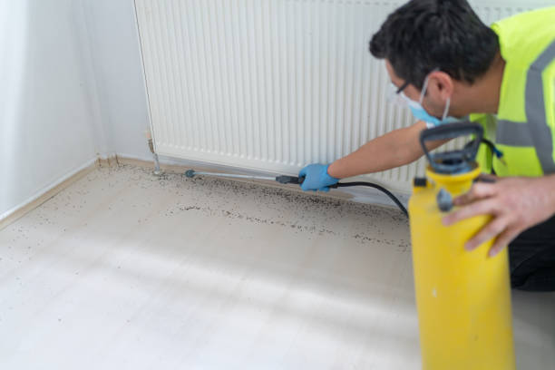 Best Pest Inspection Near Me  in Rapid City, MI