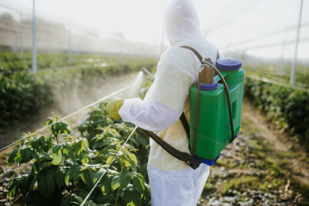 Best Affordable Pest Control Services  in Rapid City, MI